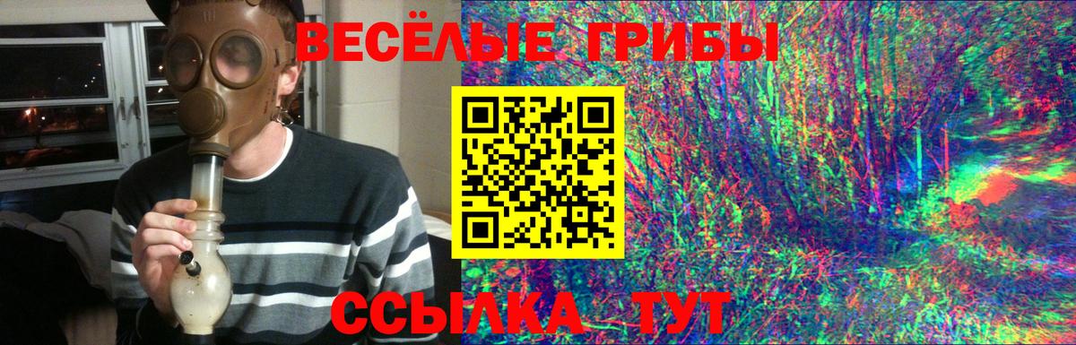 Галлюциногенные грибы Cubensis Чистополь